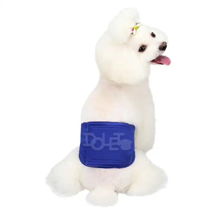 Dog Physiological briefs